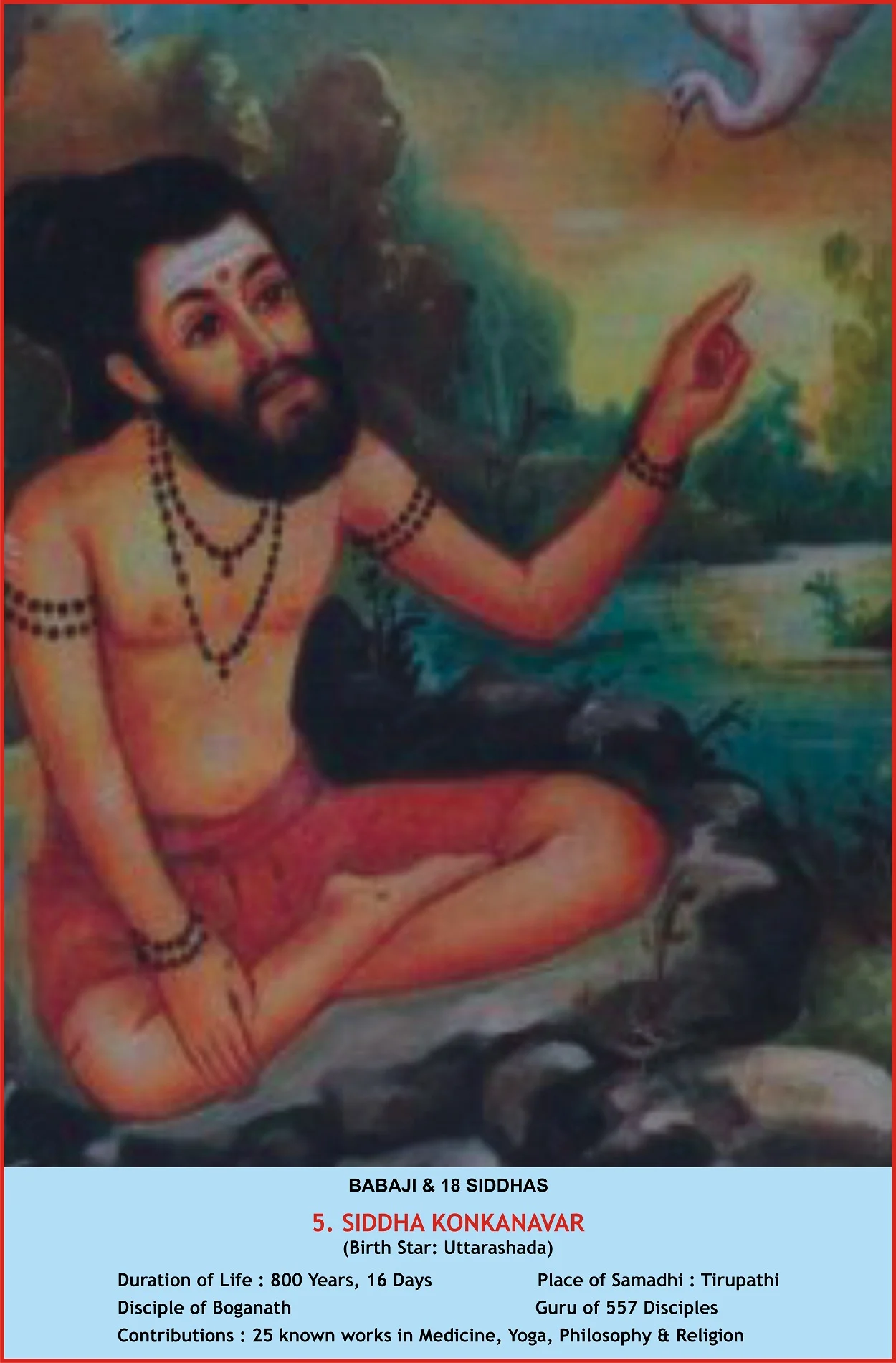 Compatibility Analysis Icon